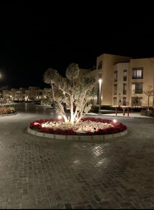 Mangroovy - Delicate 1br Ground Floor By The Pool Appartement Hurghada